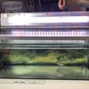 Img 5784