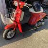 スズキ　薔薇　50cc
