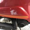 スズキ　薔薇　50cc
